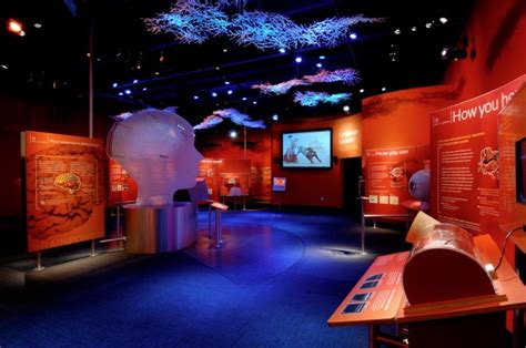 Museum Exhibits and Environments by Art Guild | Science center, Museum ...