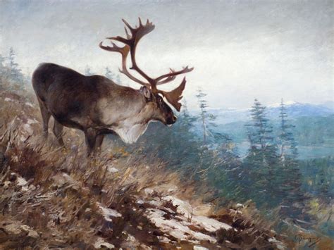 backwoods | Jackson hole art, Wildlife paintings, Wildlife artwork