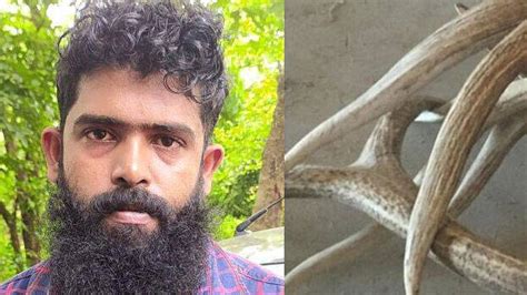 Two arrested with deer antlers worth Rs 20 lakh - KERALA - CRIME ...