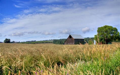 Yamhill county, Oregon | Summer photos, Photo projects, Yamhill