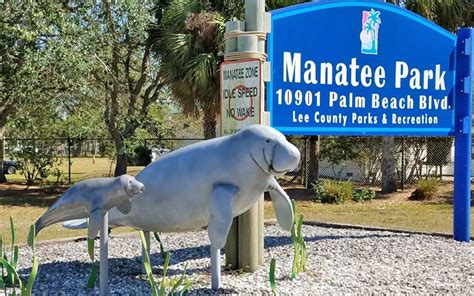 Manatee Park | Wildlife Viewing, Kayaks, Amphitheater in Ft Myers