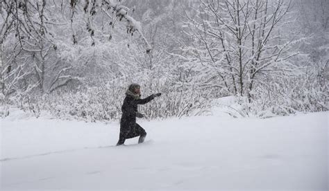 Heavy snow knocks downs thousands of trees in Moscow; 1 dead - Washington Times