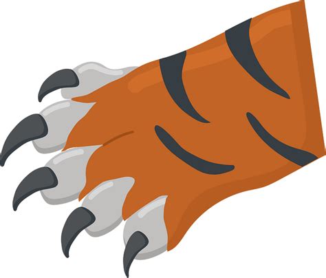 Claw Clip Art Tiger Claw Clipart Png Download Full Size Clipart | Sexiz Pix