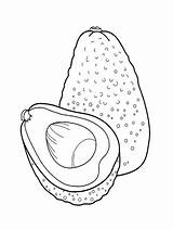 50 Free Printable Avocado Coloring Pages  Firka Tein sketch template