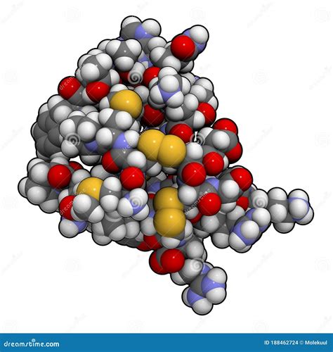 Chlorotoxin Scorpion Toxin. Peptide Toxin Present in Deathstalker ...