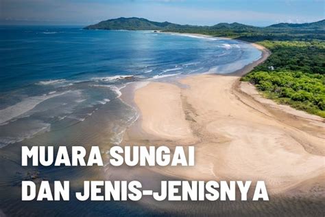 Pengertian Muara Sungai beserta Jenisnya