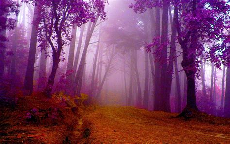 Purple Fall Leaves | HD Autumn In Purple Wallpaper | Fall | Pinterest | Purple wallpaper