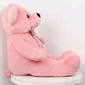 Send Pink Teddy Bear Gift Online, Rs.1145 | FlowerAura