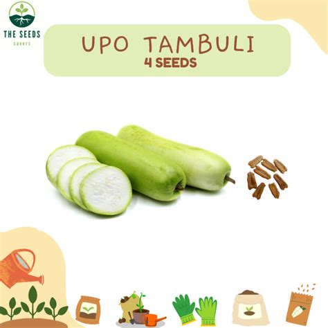 UPO TAMBULI SEEDS - 4seeds | Lazada PH