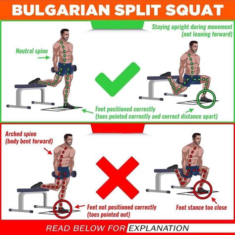 Bulgarian Split Squat | Exercise form, Workout, Squats video