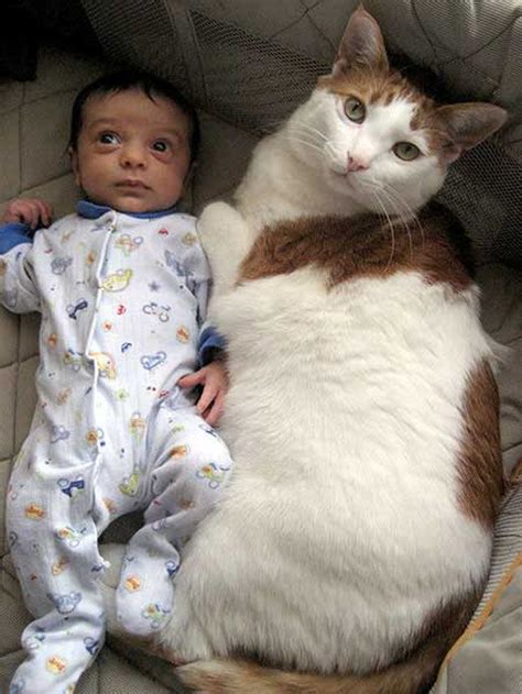 Babies and Cats Being Too Cute (25 pics) - Izismile.com