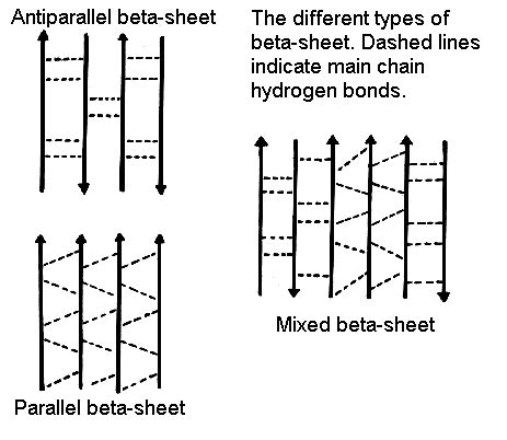 PPS 97' - Beta-Sheet Geometry