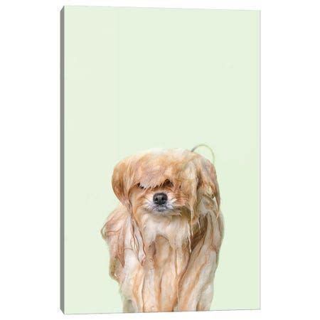 Wet Dog, Pancake | Canvas prints, Canvas art, Canvas