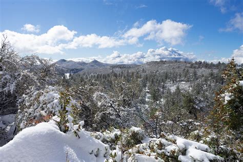 San Diego Snow Guide: Where to find snow in San Diego County | Outdoor SoCal