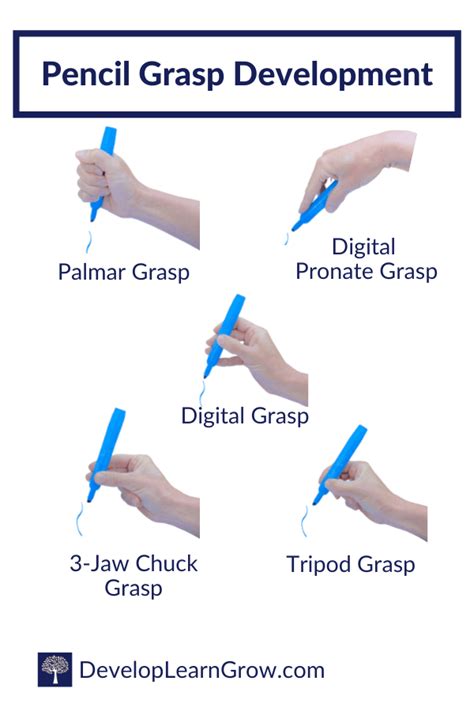 Development Of Grasp Patterns