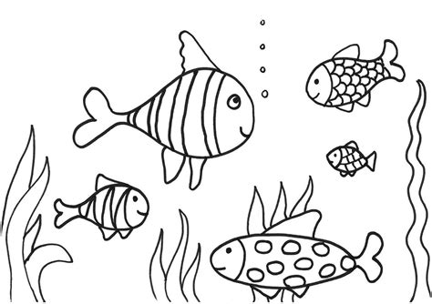 Fish Coloring Page 2020 Printable | Activity Shelter