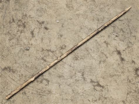 Wooden Spear | Medieval Dynasty Wiki | Fandom
