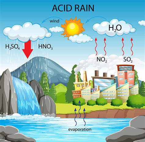 Acid Rain Formation Flow Chart