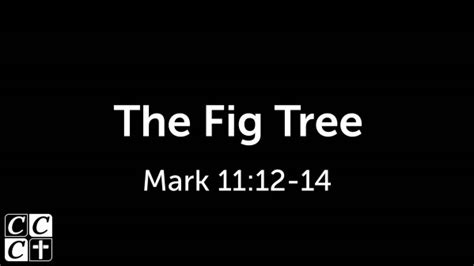 The Fig Tree - Logos Sermons