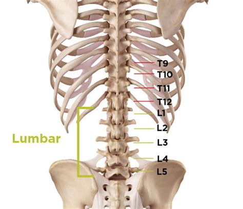 Lumbar Spinal Stenosis | Symptoms, Surgery, Exercises & Treatment