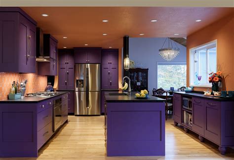 Open Layout Kitchen with Island | Purple kitchen, Dark kitchen, Purple kitchen cabinets