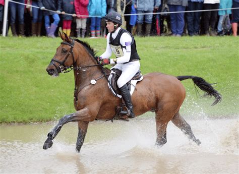 EV Breeding: Three Irish Sport Horses in Top 10 at Pau CCI4* - Horse Sport Ireland