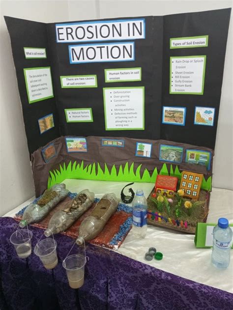 Soil erosion trifold | Easy science fair projects, Science fair projects, Middle school science ...