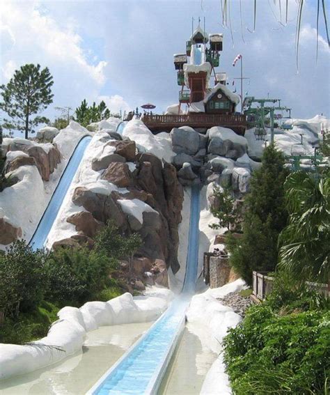 Summit Plummet: The World's Craziest Waterslides - mom.me | Disney world water parks, Disney ...