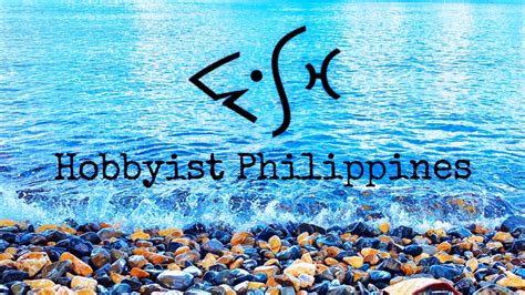 Fish Hobbyist Philippines