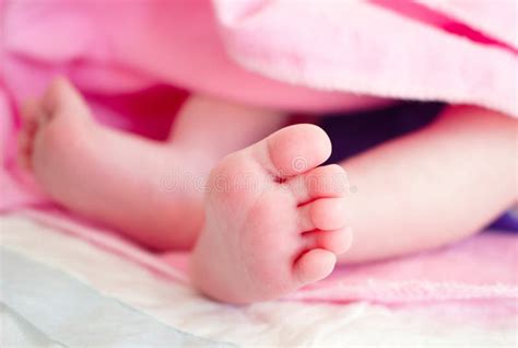 Baby feet newborn stock photo. Image of love, care, child - 47054688