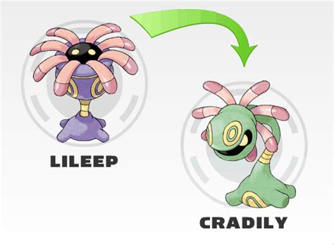 lileep evolution - Google-søgning Cute Pokemon, Pokemon Art, Eevee Evolutions, Pokemon ...