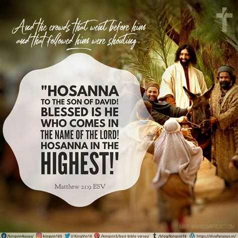 Hosanna in the Highest | Hosanna in the highest, Best bible verses, Bible quotes