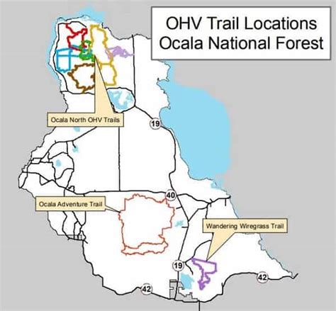 ATV Ocala National Forest - Wild ATV