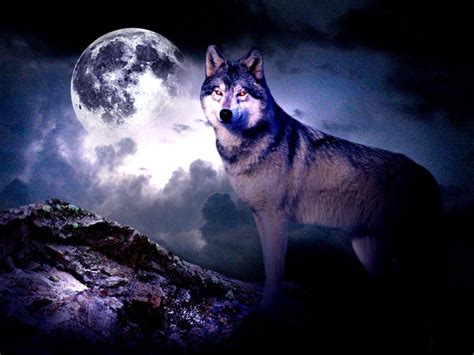 Free Wolf Wallpapers - Wallpaper Cave