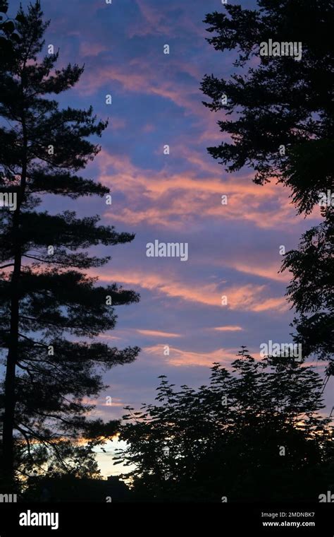 red clouds at sunset Stock Photo - Alamy