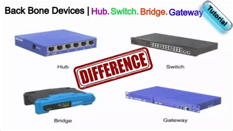 Emésztőszerv szatíra fürdőkád bridge vs switch vs router vs hub ...