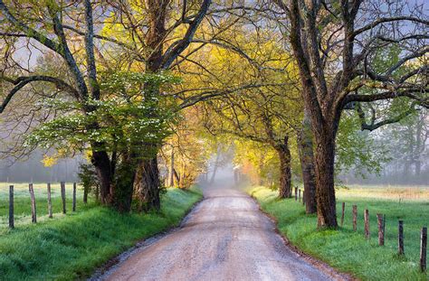 Cades Cove Great Smoky Mountains National Park - Sparks Lane Photograph ...