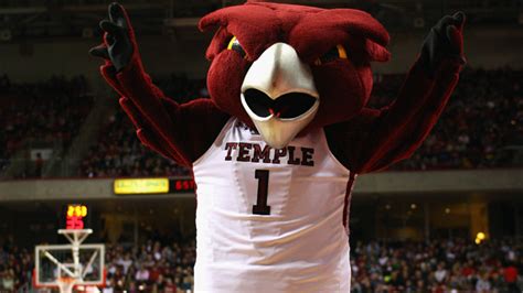 Temple Asks Canadian School to Pick New Mascot – NBC10 Philadelphia