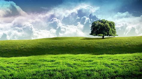 nature, Landscape, Artwork, Trees Wallpapers HD / Desktop and Mobile Backgrounds