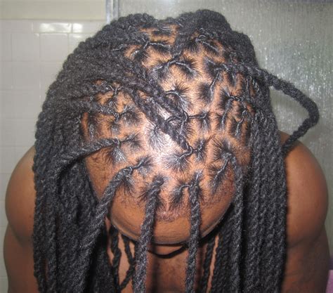 two strand twists - dreadlocks