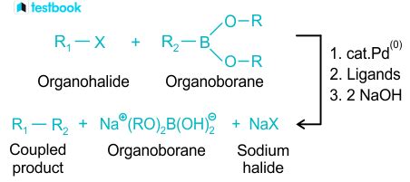 Suzuki Coupling Reaction: Mechanism, Reagents, Applications Explored