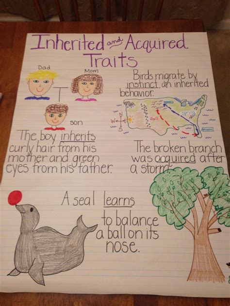 Inherited and Acquired Traits anchor chart Science Units, Science ...