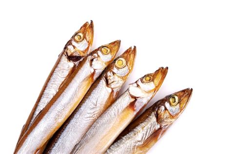 Premium Photo | Smoked capelin fish isolated on white