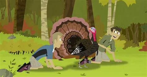 Wild Kratts | Activate Turkey Power! | Season 2 | Episode 5 | PBS