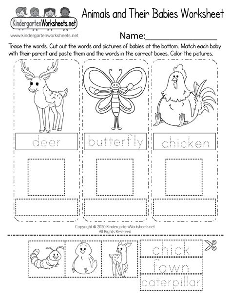 Animals and Their Babies Worksheet - Free Printable, Digital, & PDF