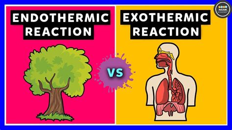 Endothermic Reaction Examples For Kids