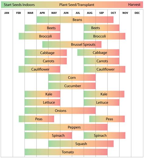 Zone 6 Vegetable Planting Calendar - Printable And Enjoyable Learning