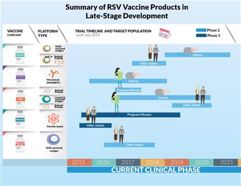 New Research Provides Hope In The Search For A Respiratory Syncytial Virus Vaccine- Part III ...