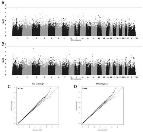 Meta-analytic genome-wide association results for all five samples in... | Download Scientific ...