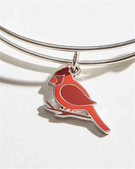 Cardinal Bird Pendant Bird Cardinal Bird Bangle Bracelet Cardinal Bird Charm